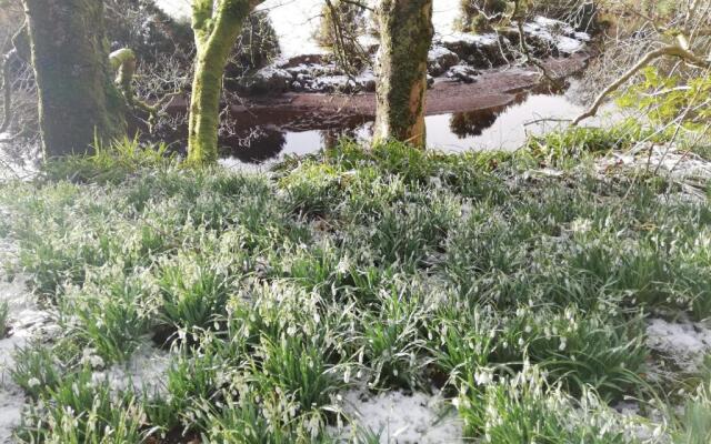 Carradales Luxury Guest House