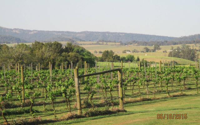 Tranquil Vale Vineyard & Cottages