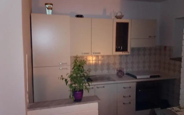 Apartment Summer Night Dream