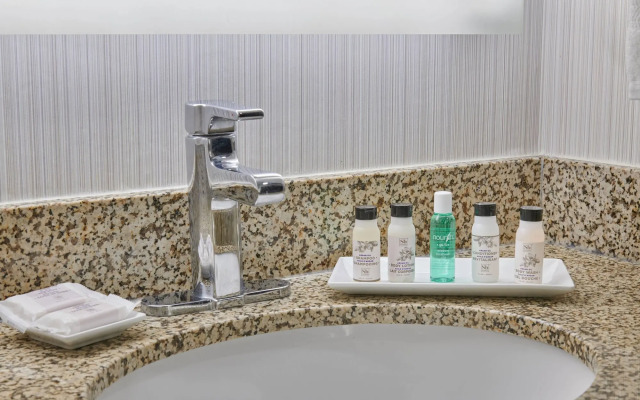 Delta Hotels by Marriott Detroit Novi