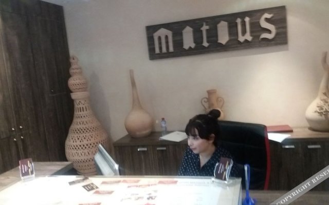 Hotel Matous
