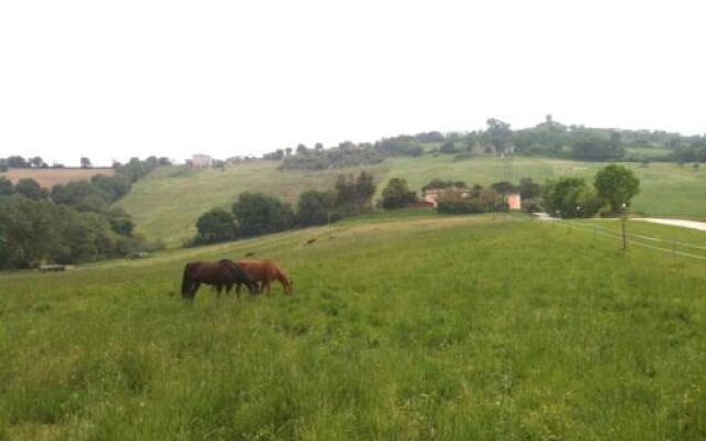 Agriturismo Casale il Gallo Bianco