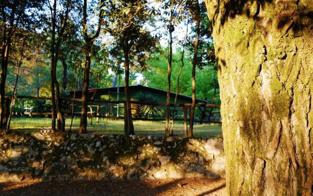 Camping Al Bosco