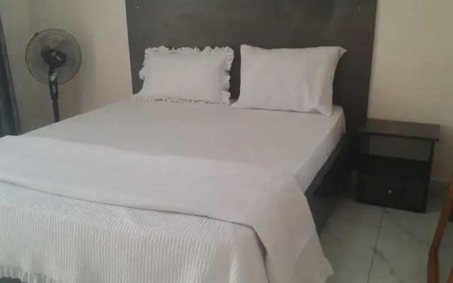 EstaCode Suites- Executive