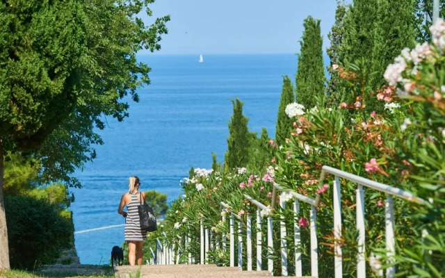 Laguna Bellevue