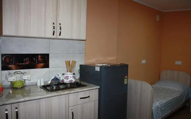 Guesthouse on Benashvili