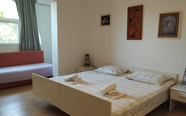 Borovik Guest House