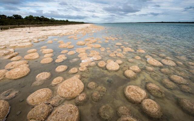 API Preston Beach Front Apartments