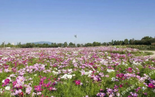 Kuwana Park