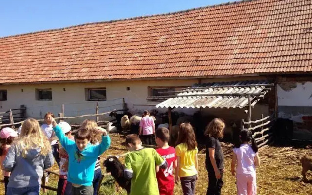 Ferma Scoala Cornatel