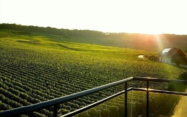 Dans Les Vignes