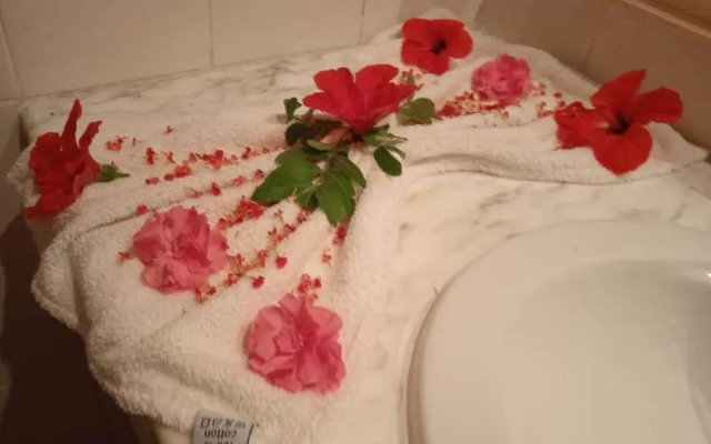 Hôtel Excel Hammamet