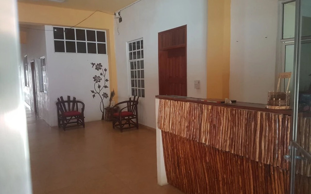 Cedro Tulum