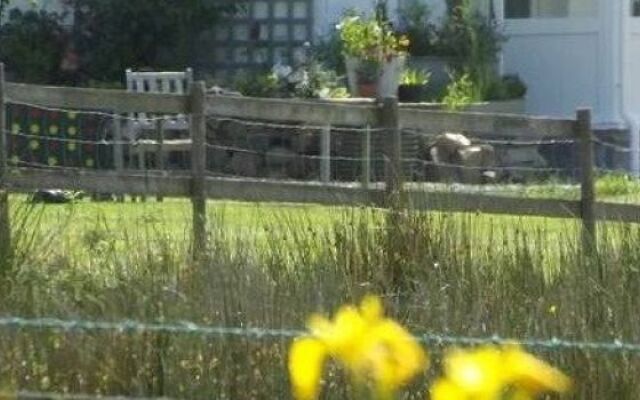 The Swallows B&B
