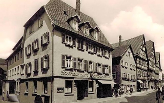 Hotel Goldener Hirsch Mosbach