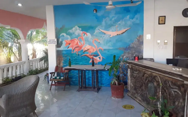 Flamingo Guest House Celestún
