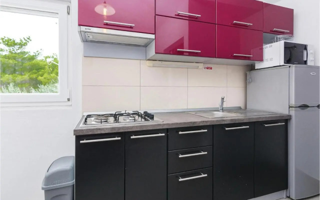 One-Bedroom Apartment in Vir