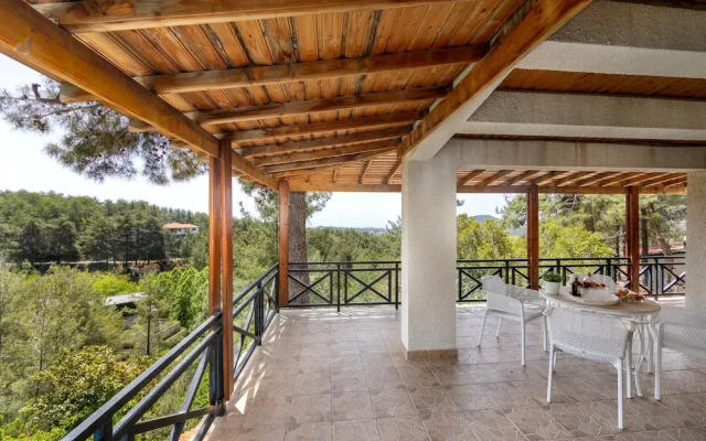 Platres Forest Panorama