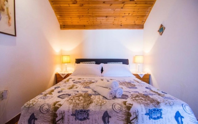 Apartment Ivo