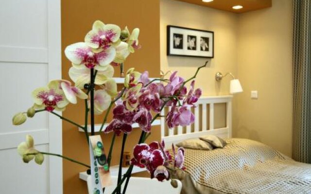 Orchidea Apartman Eger