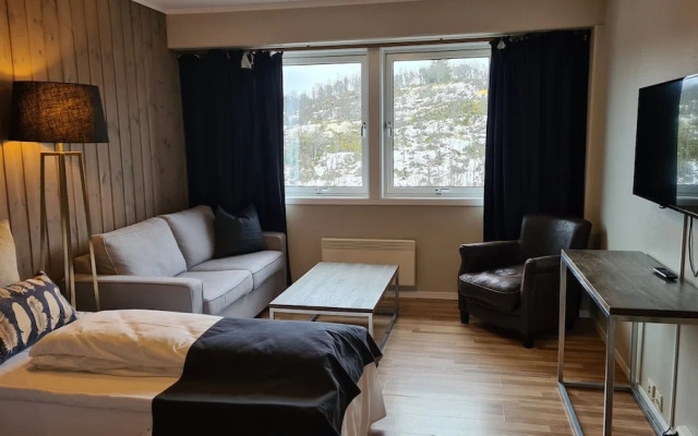 Skinnarbu Nasjonalparkhotell