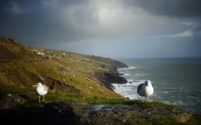 Keanes of Curraheen