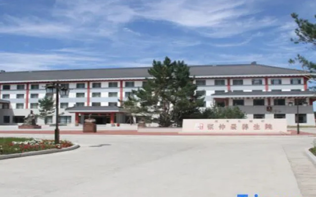 Mohe Songyi Hotel (Arctic Village)