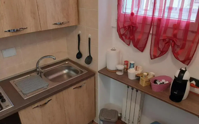 House Vittone Venaria Reale