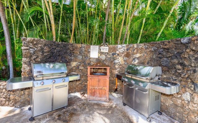 Aina-Nalu B204 - 2Br Condo
