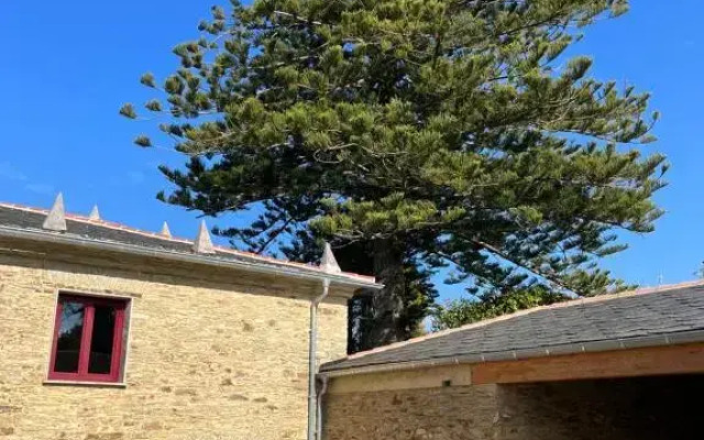 Araucaria House