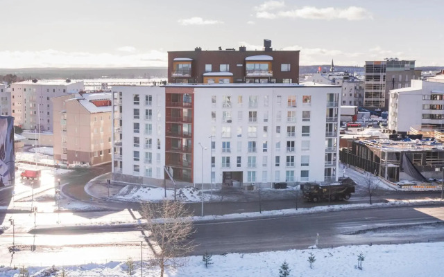 Tuomas´luxurious suites, Koivu