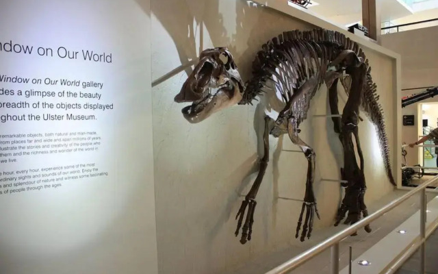 Yellow Hive Boutique Stay Apt 1