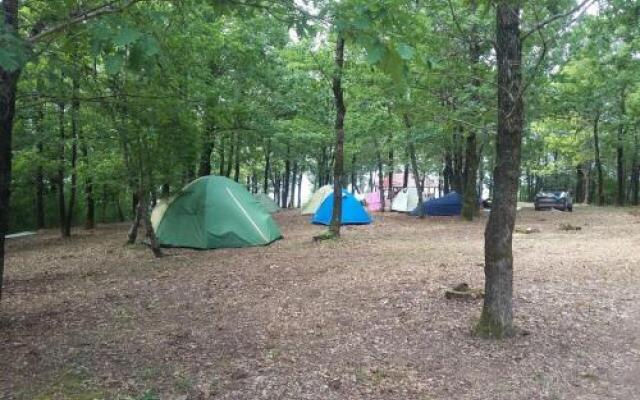 Camping Gorizont