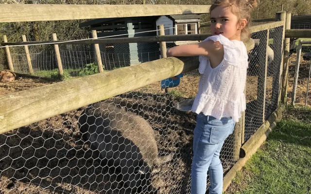 Willow Court Farm