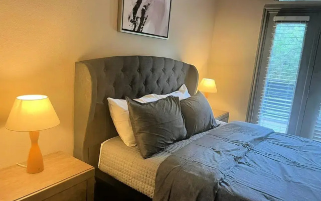The Elvis Presley Urban Luxury Apts Austin