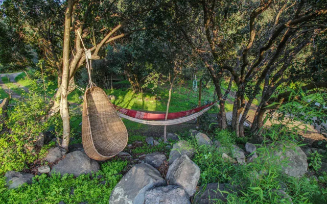 Getaway Among The Trees