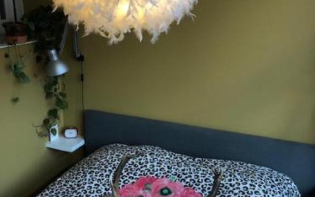 Juuls B&B