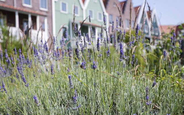 Roompot Marinapark Volendam