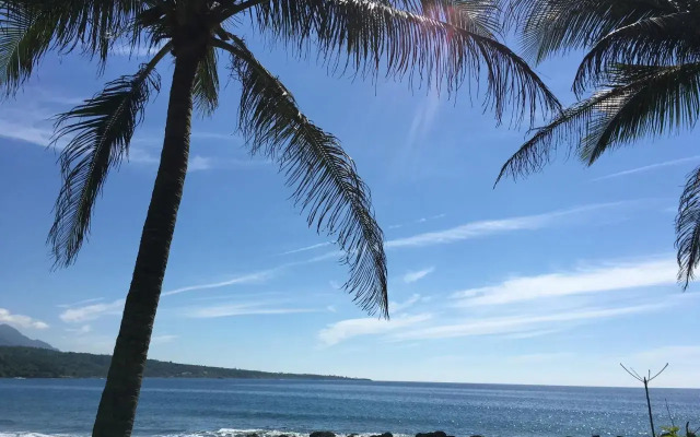 Coconut Beach Homestay