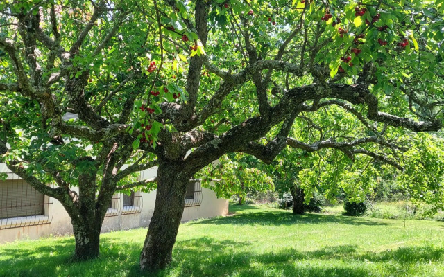Puente Canto de Gredos