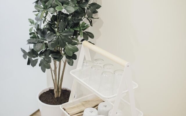 One&Lux Byron Suites