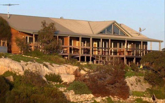 Sea Dragon Kangaroo Island