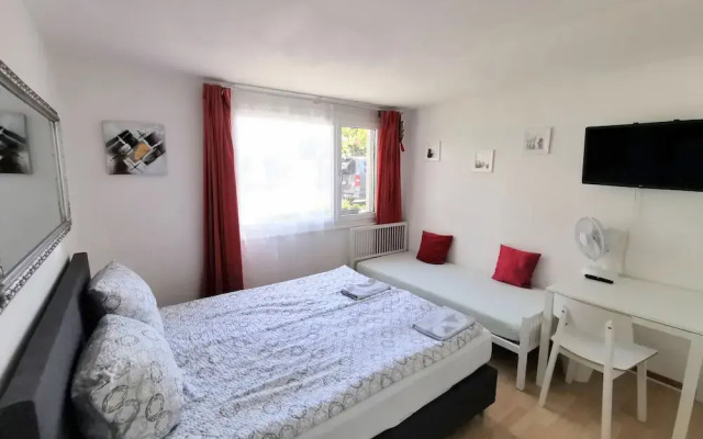 Comfortable mountain view apartment near Lucerne