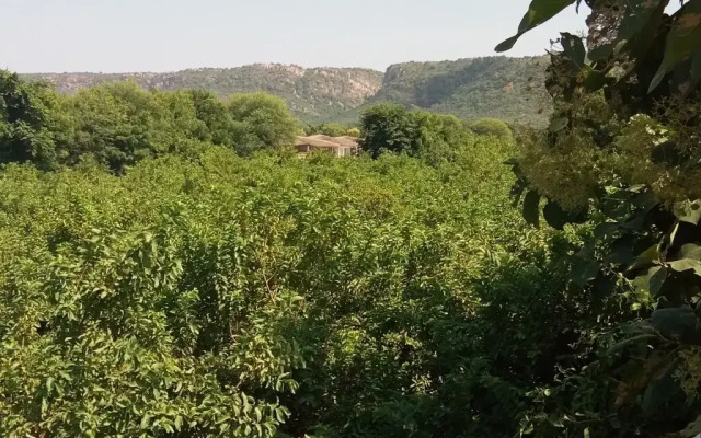 Hotel Ranthambore Vinayak