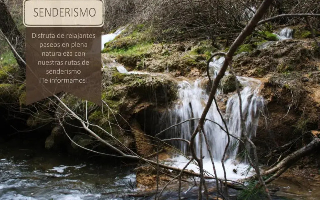 Apartamentos Mirador del Pinar