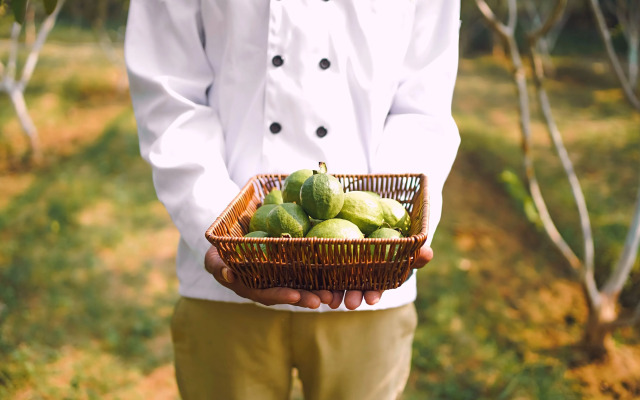 Anantvan Ranthambore by Asapian Hotels