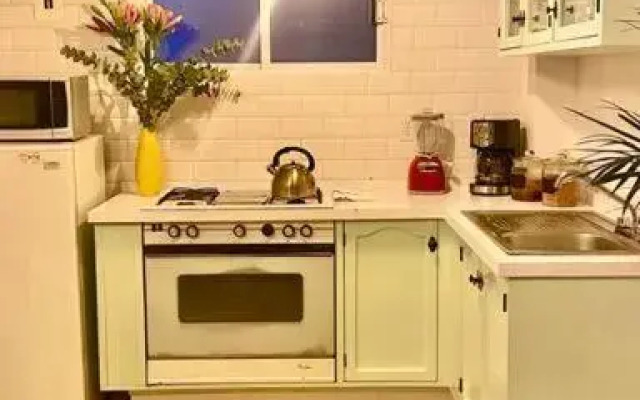 Amazing Cozy Apartment in Condesa