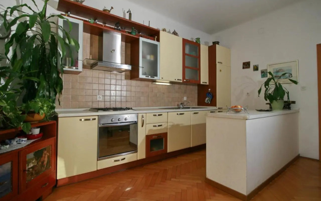 Spacious apartment in the center