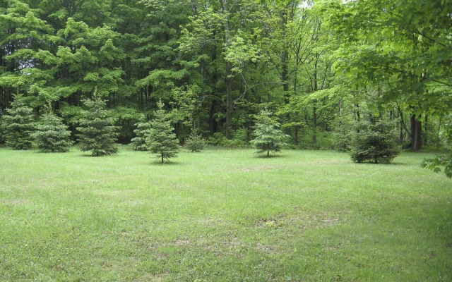 Auberge des Vignobles