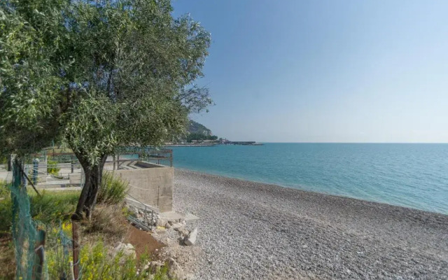 L'Agrumeto